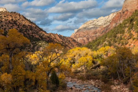 Zion NP im Herbst