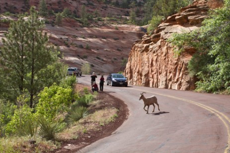 Zion Nationalpark